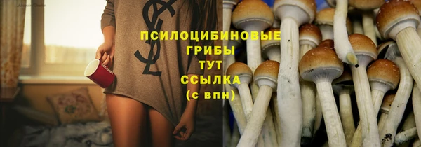гидропоника Балахна